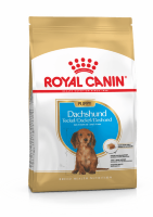 ROYAL  CANIN / Роял Канин Dachshund Puppy  корм для щенков породы Такса до 10 месяцев